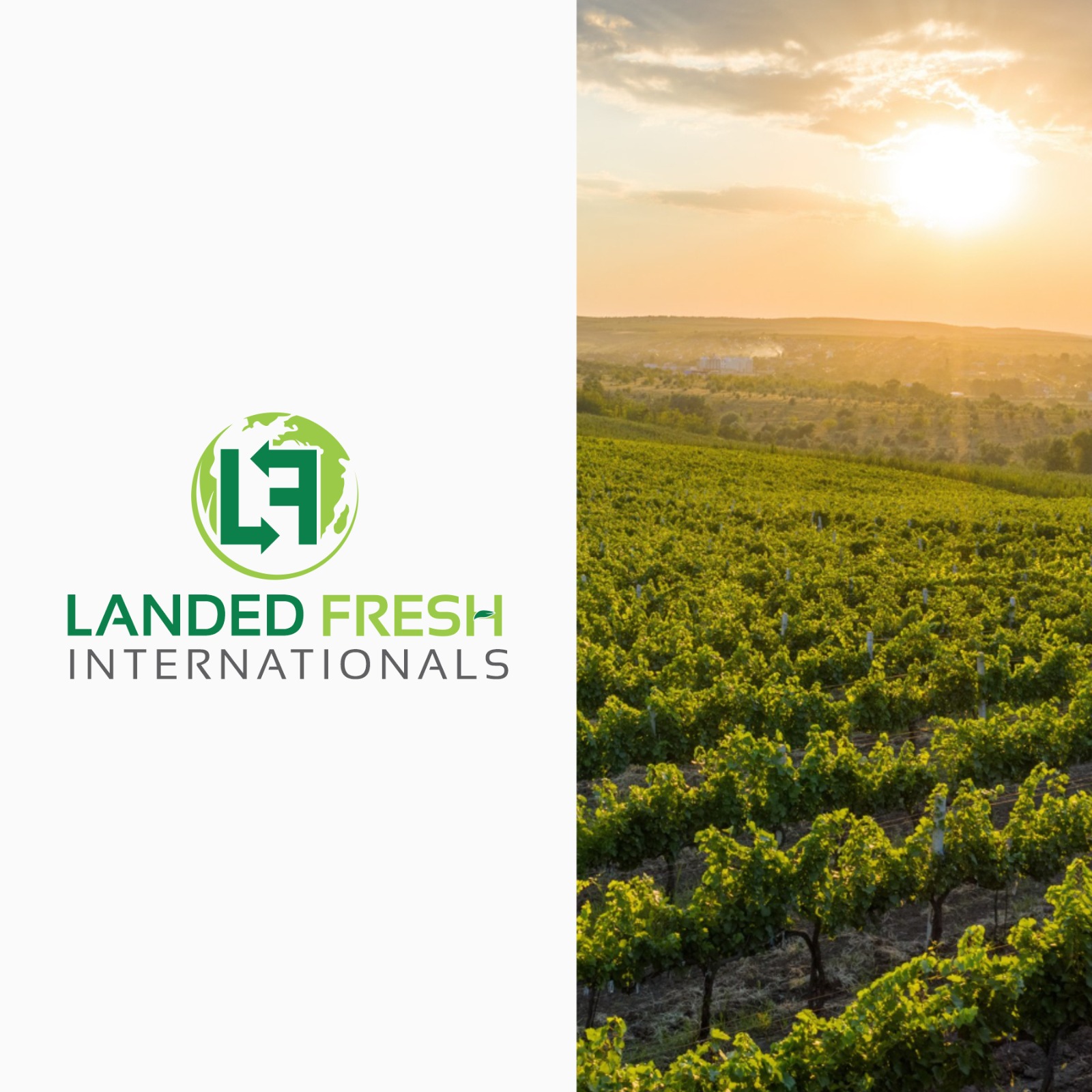 Landfresh Logo